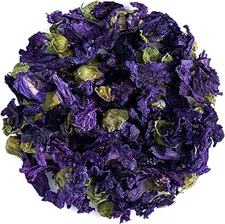 Mallow Blue Flower Tea Blossom - Malva Sylvestris Malva Herb Tisane