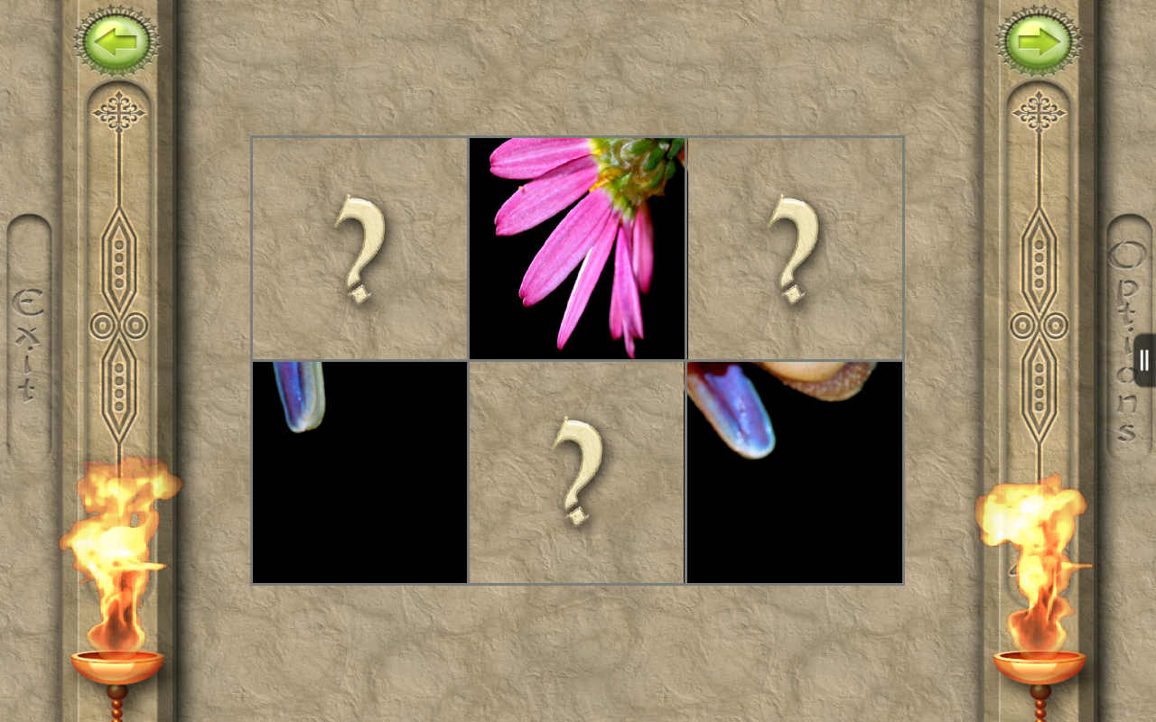 FlipPix Jigsaw Living for Android
