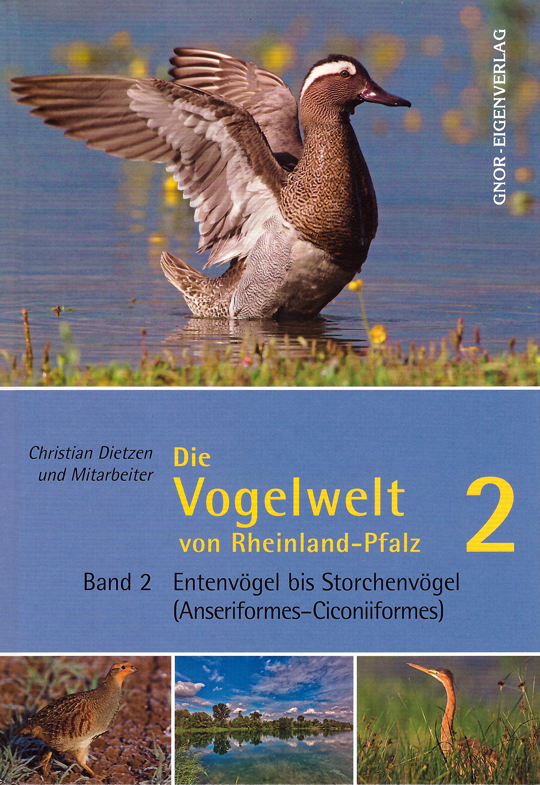 Die Vogelwelt von Rheinland-Pfalz: Band 2 - Entenvögel bis Storchenvögel (Anseriformes-Ciconiiformes)