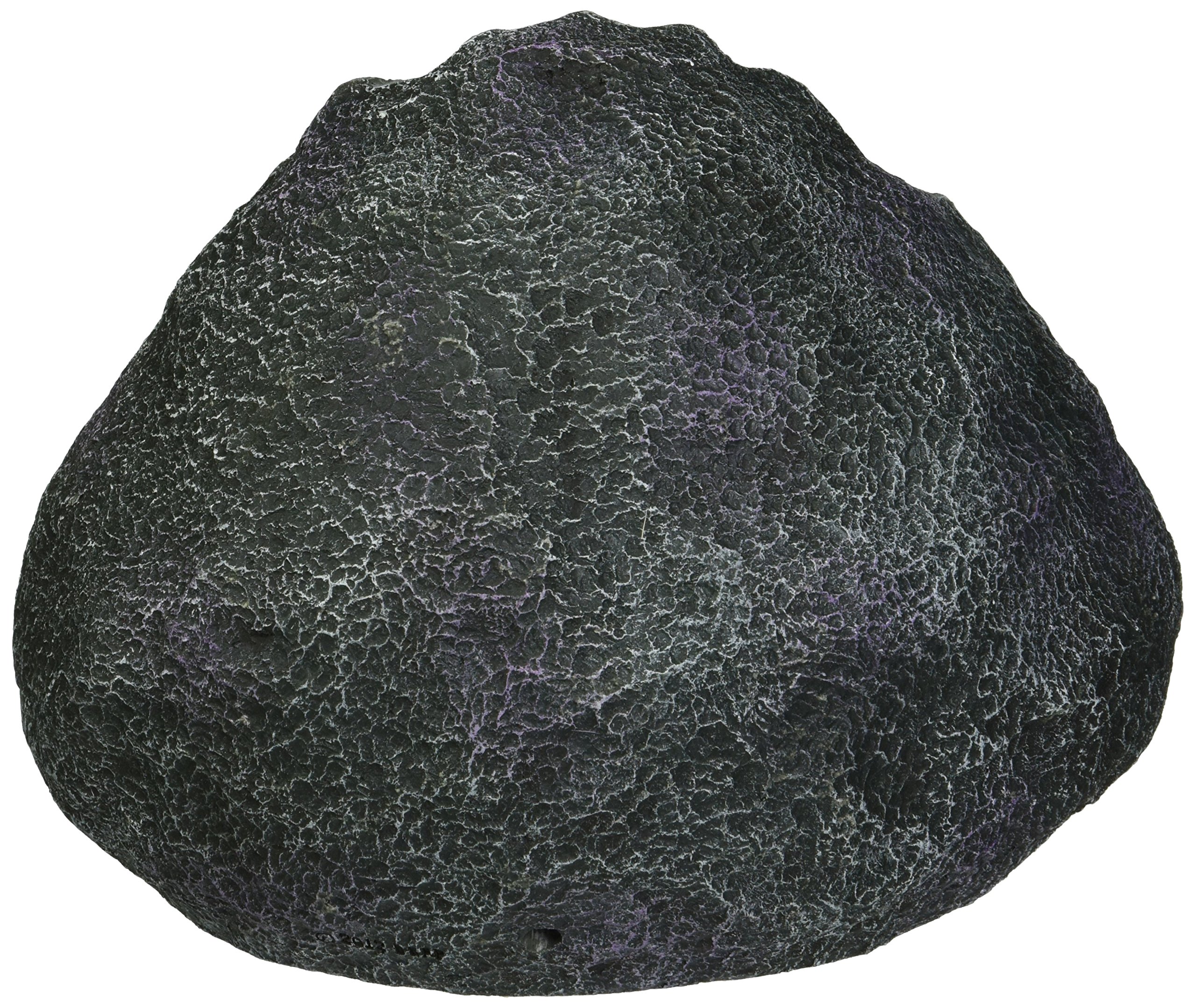 Amazon.com : Blue Ribbon EE-1136 Skull Geode Stone Exotic