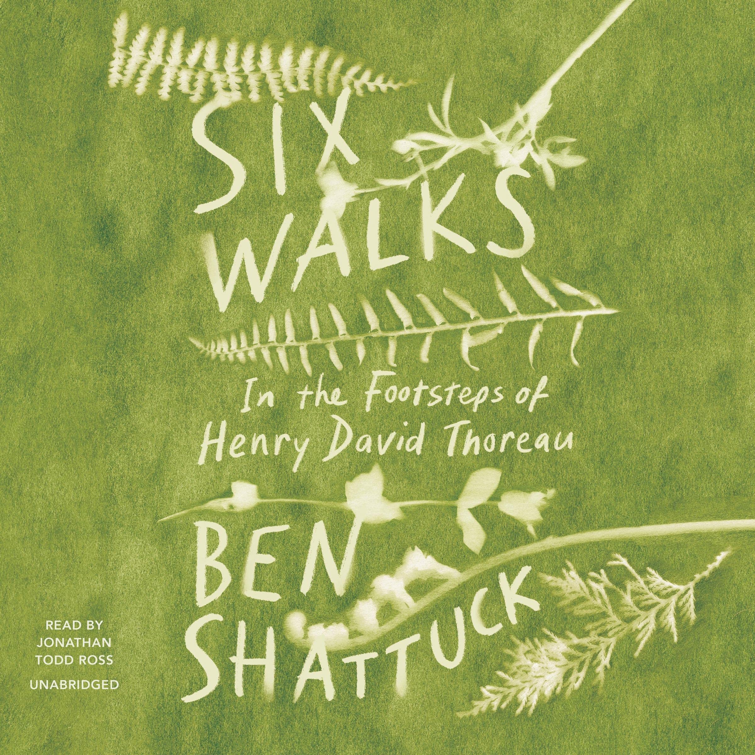 Cover art for Six Walks