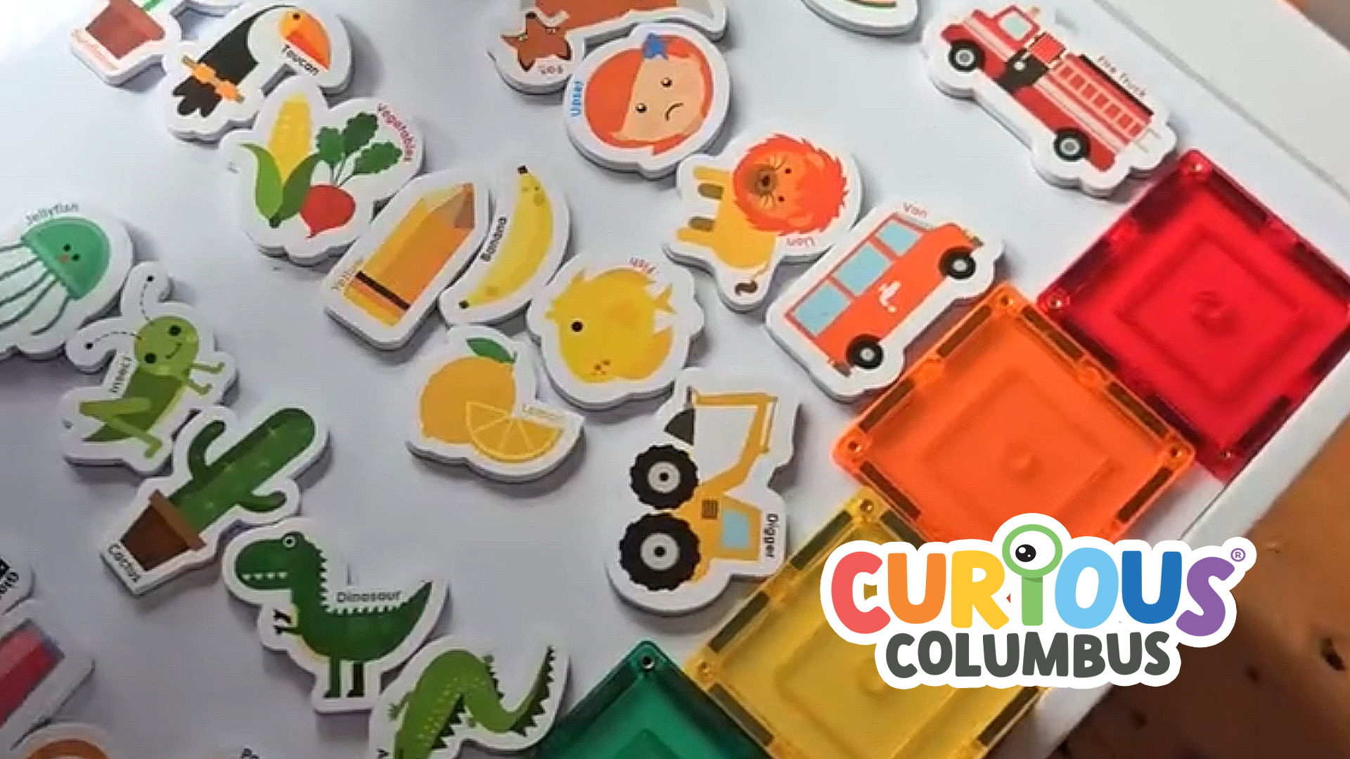 Amazon.com: Curious Columbus Magnetic Objects and Letters. Set of
