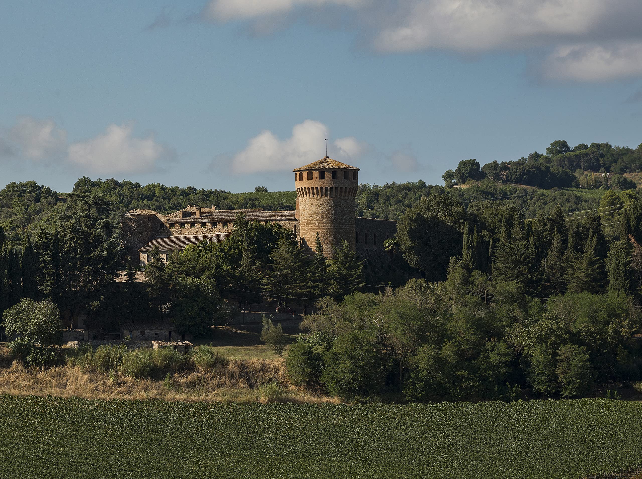 Castello della Sala Cervaro della Sala Umbria IGT, 750 ml