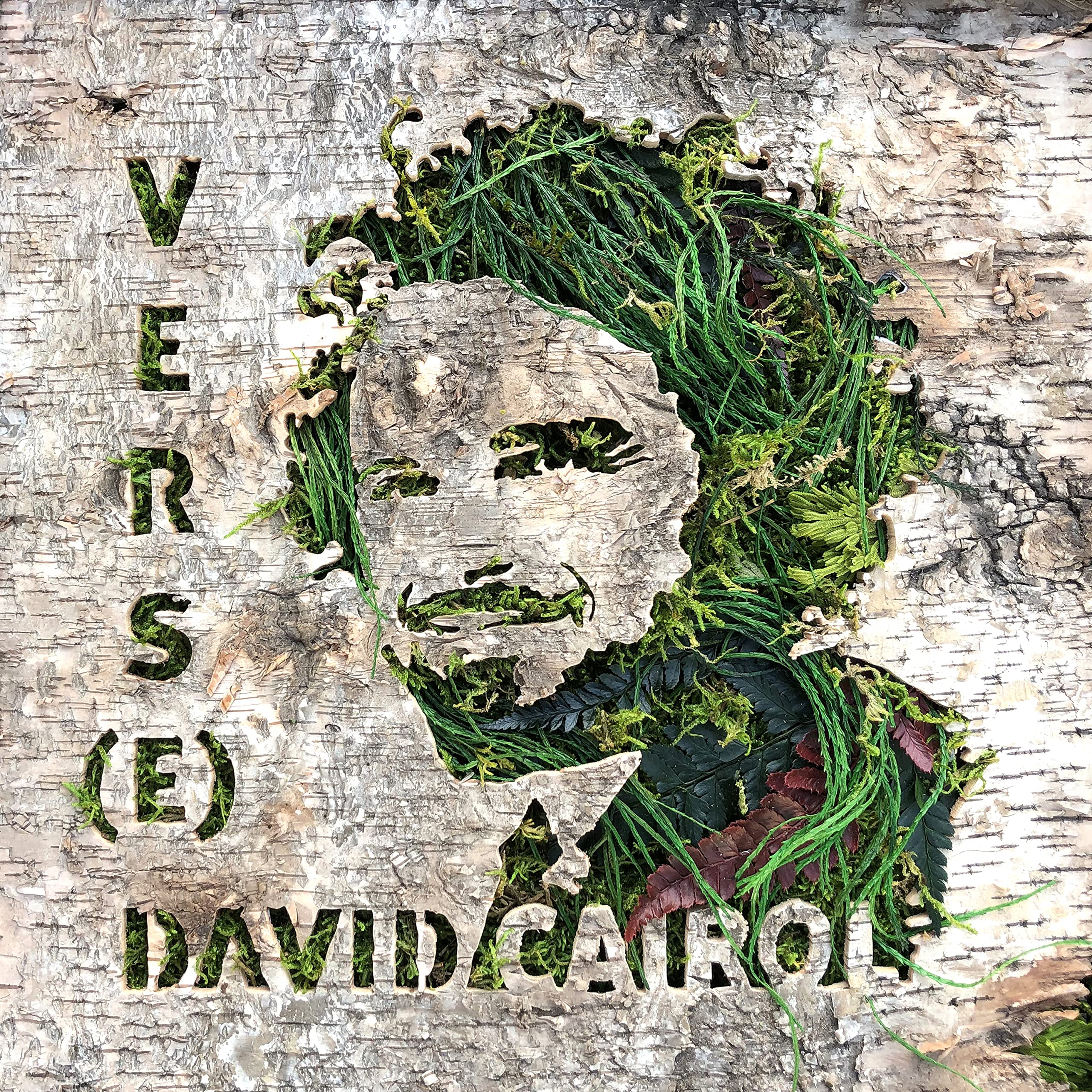 Verse [VINYL]