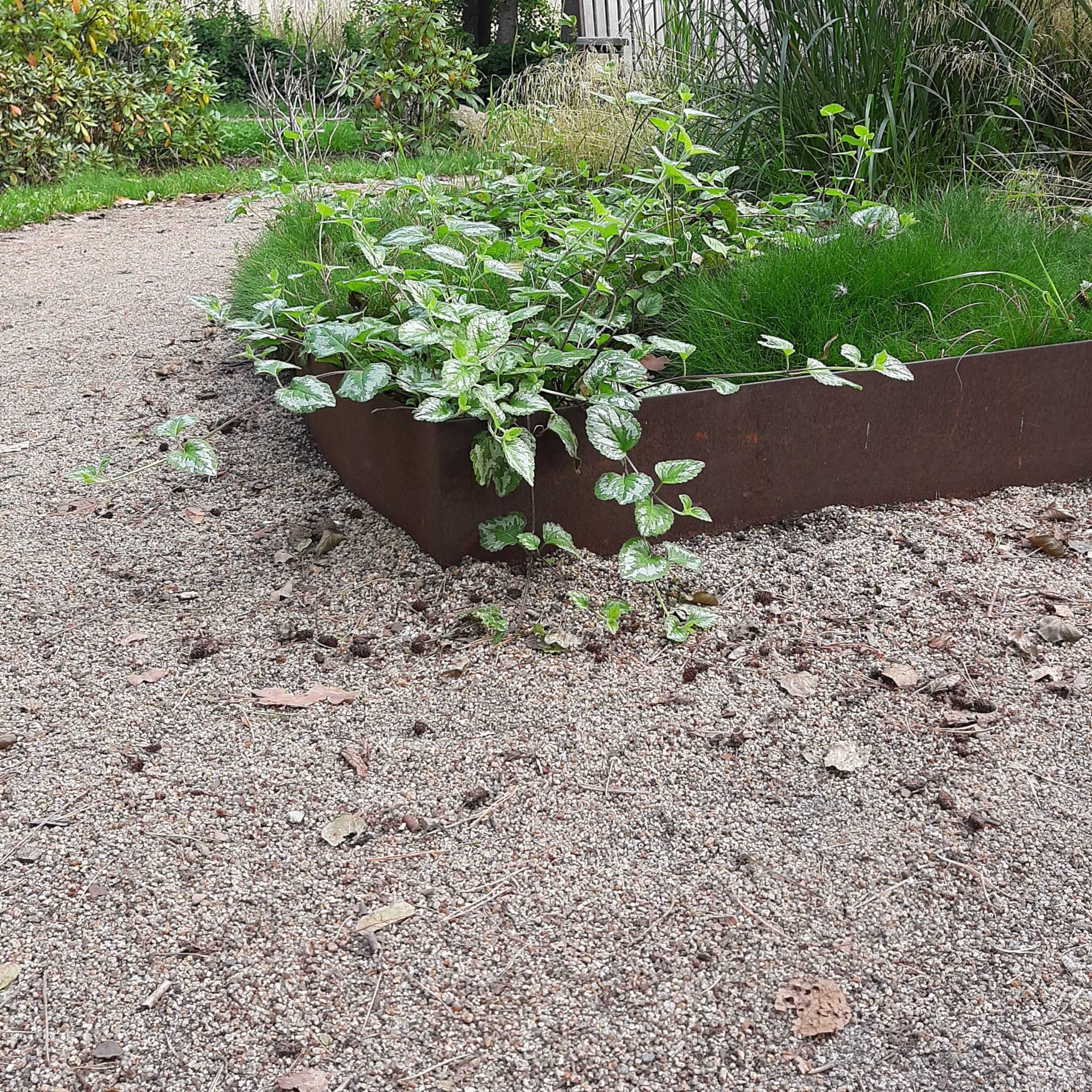 Rasenkantenband Edelrost Verschiedene höhen und längen 1 mm dick Beet Begrenzung (20 Meter 20 cm hoch)