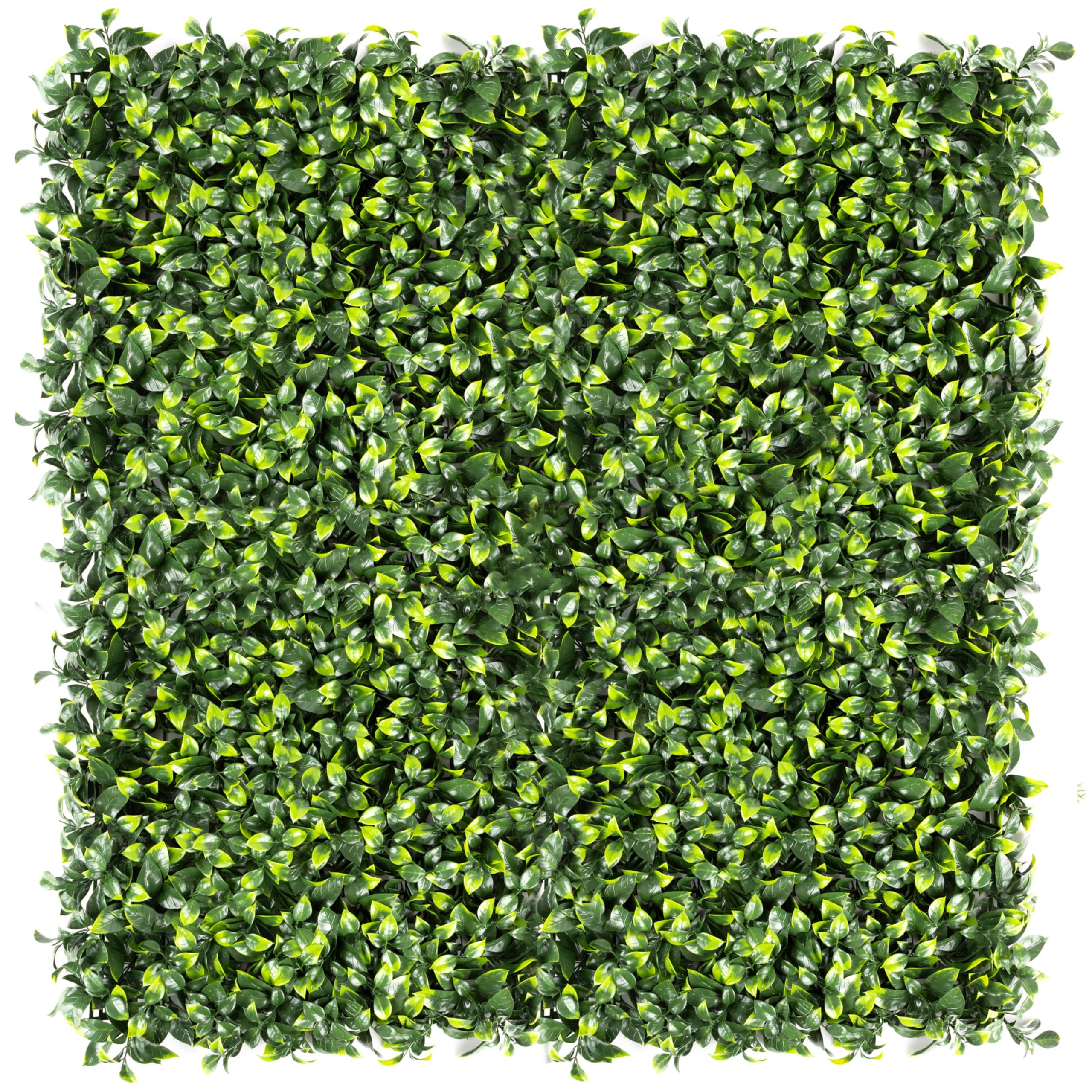 Primaflor - Ideen in Textil Kunstpflanzen-Wand - Ilex, 100 x 100 cm, UV-Stabilisierte Künstliche Pflanzenwand zur Wandmontage, Wandpaneele