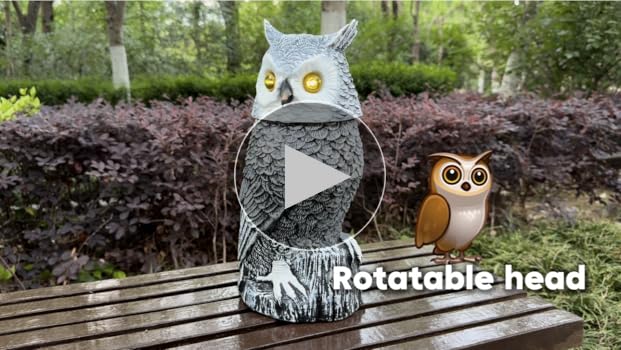 Amazon.com : Owlsome Solar Snowy Owl with Flashing Eyes