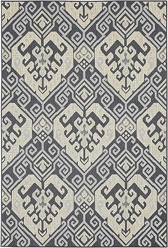 Miniatura 4 de PRIYATE Oriental Design - Alfombra de área para interiores y exteriores, 5 pies 3 pulgadas x 7 pies 6 pulgadas, colección de medallones estilo