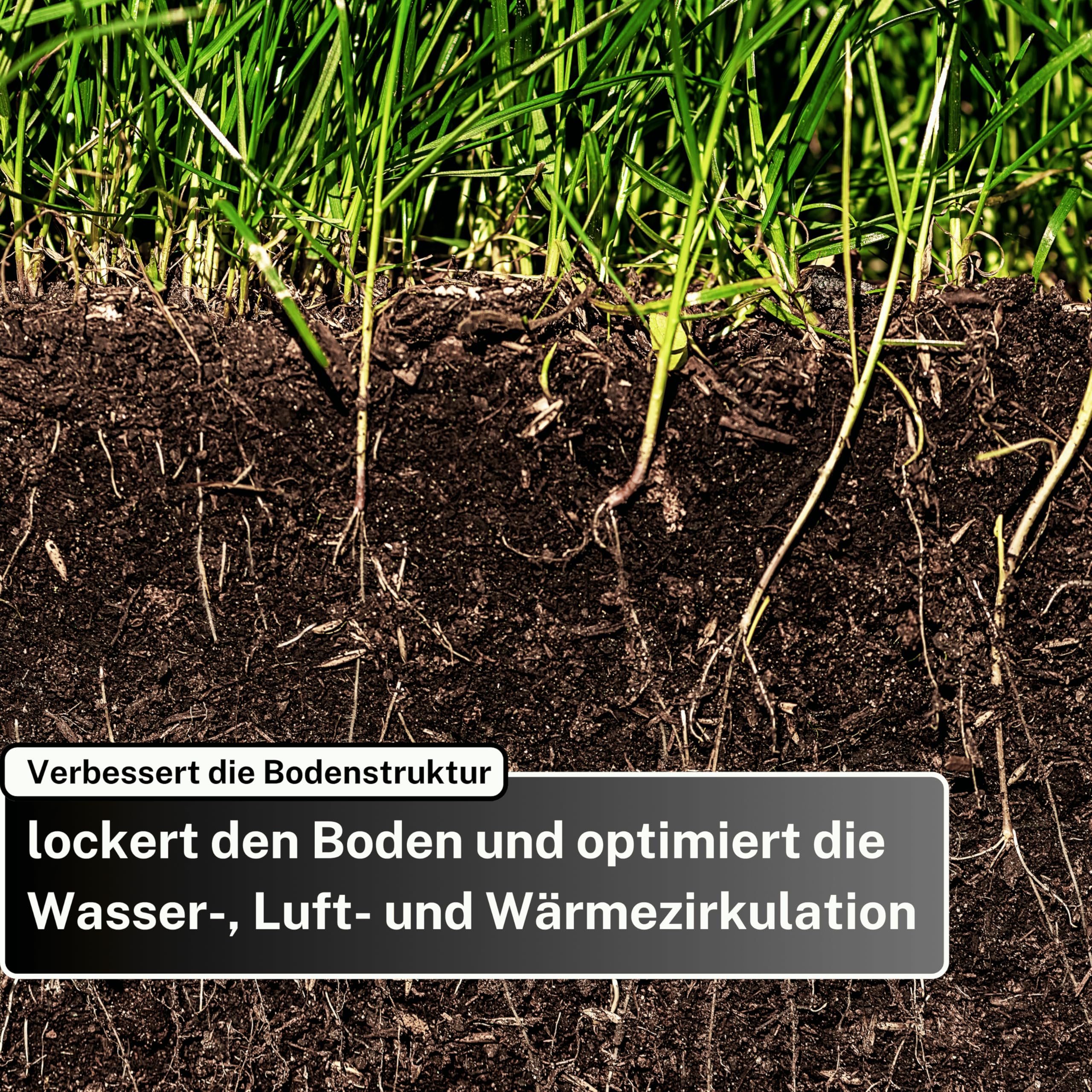 Greenyp Rasenkalk & Gartenkalk I 30kg / 600m² I fein gekörnter kohlensaurer Kalk gegen Moos und Pilze im Rasen I staubarm & ideal für den Streuwagen I verstärkt die Düngung I Rasendünger Frühjahr