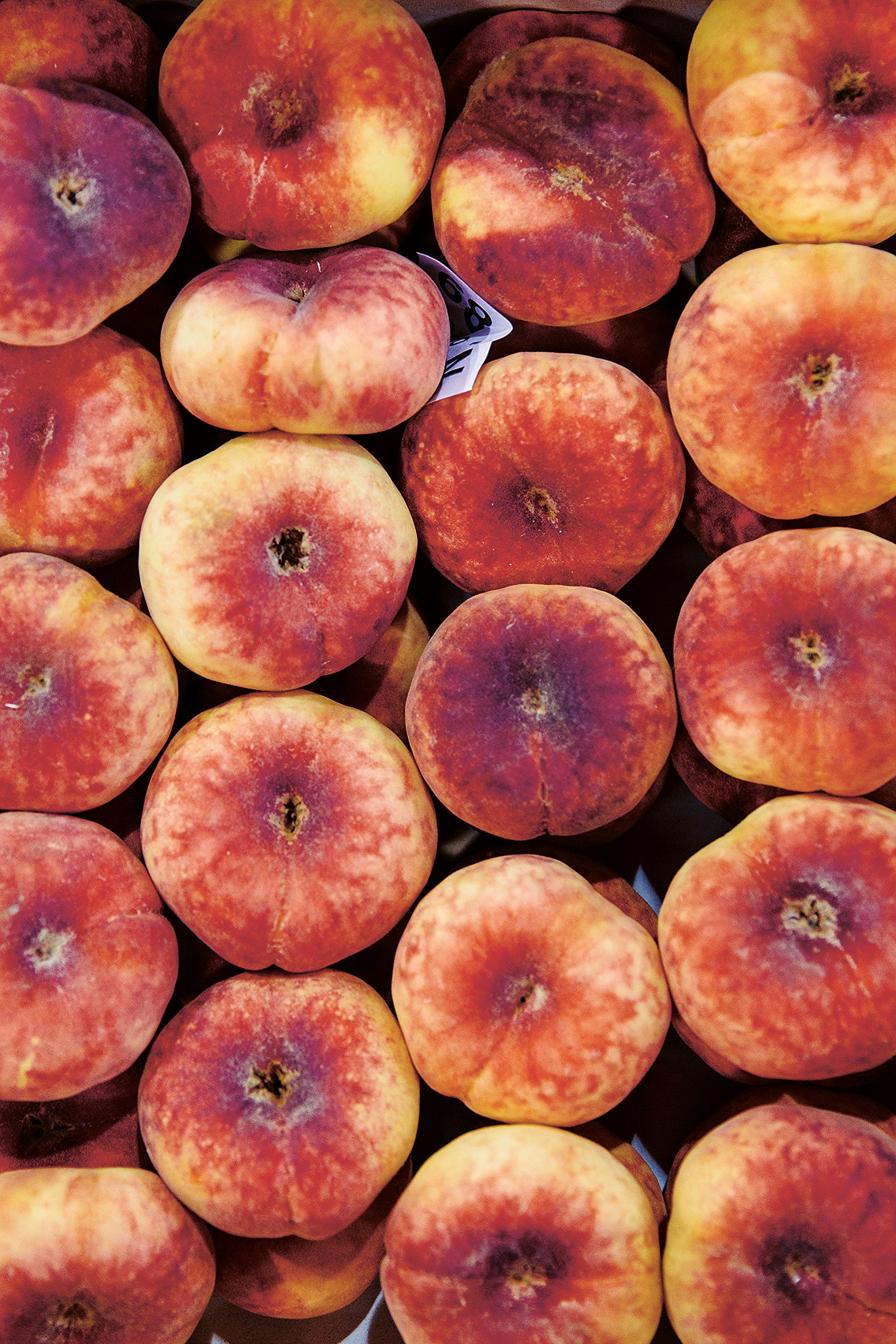 The Modern Preserver: A mindful cookbook packed with seasonal appeal