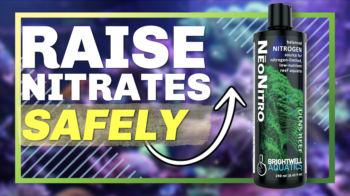 Amazon.com : Brightwell Aquatics NeoNitro Balanced Nitrogen