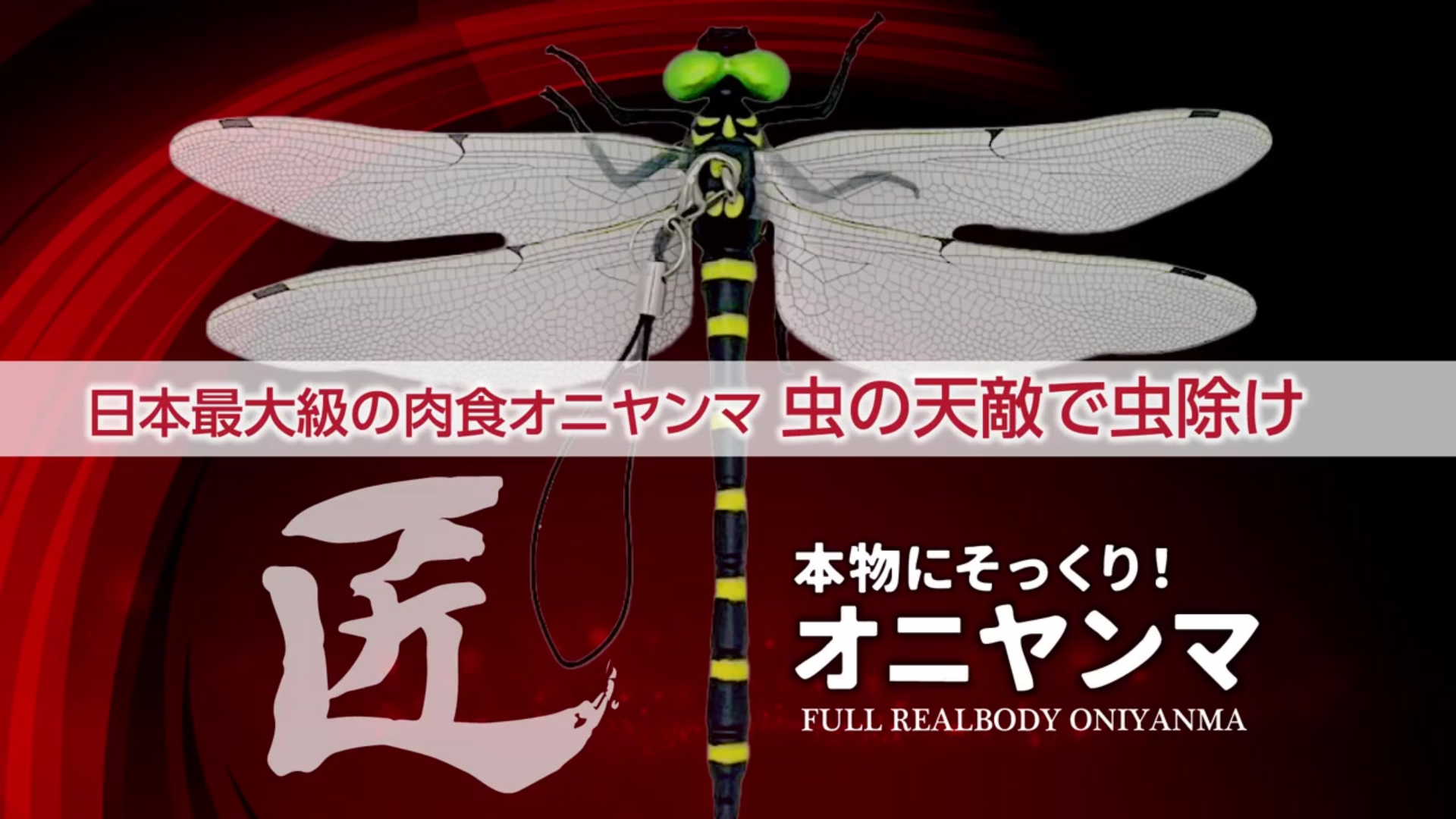 Amazon.co.jp: [AzukiY] 【アウトドアのプロ推薦】 オニヤンマ 虫除け