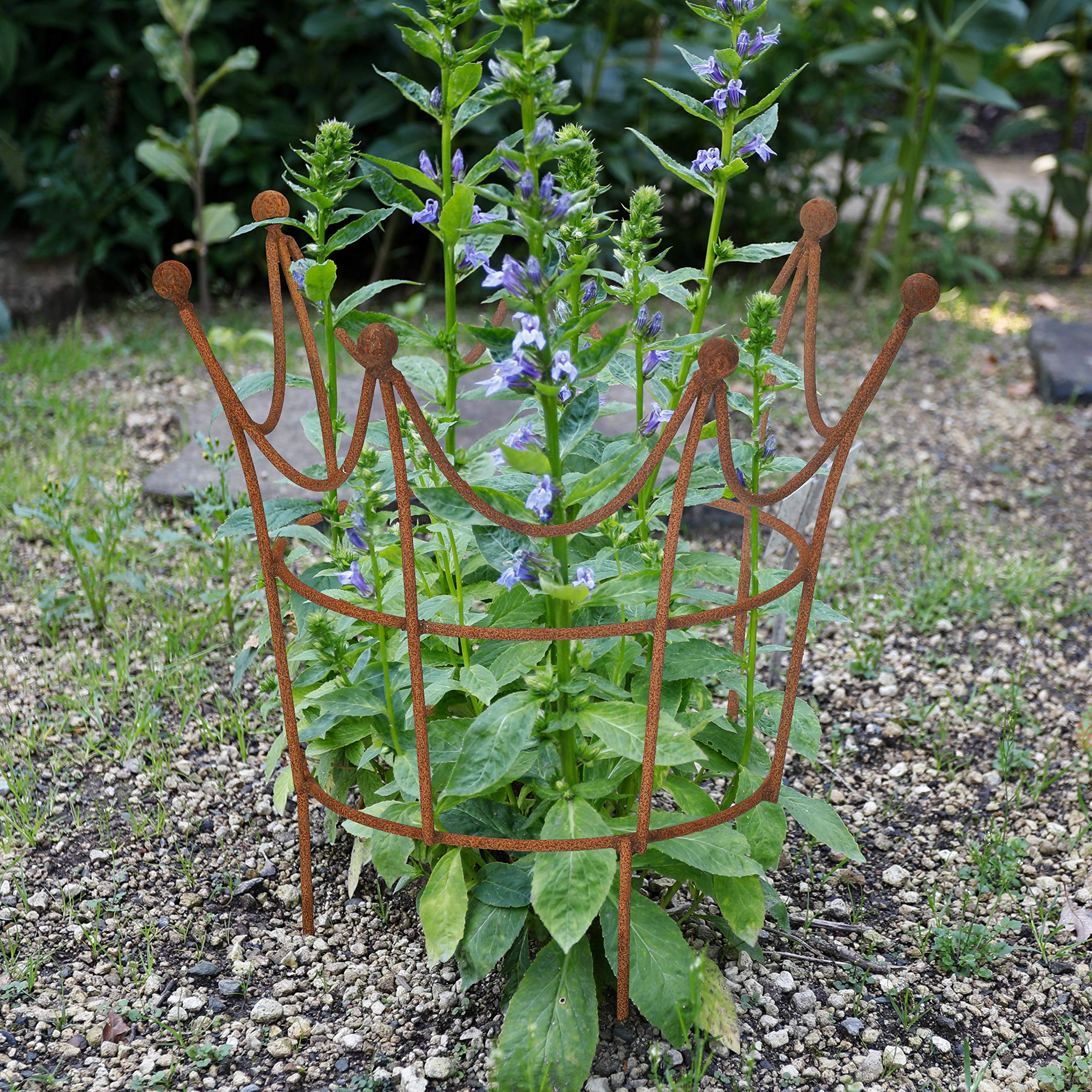 Rankgitter Rankhilfe Krone Rankgerüst Metall Eisen Rost Deko Staudenhalter rund (63cm breit)