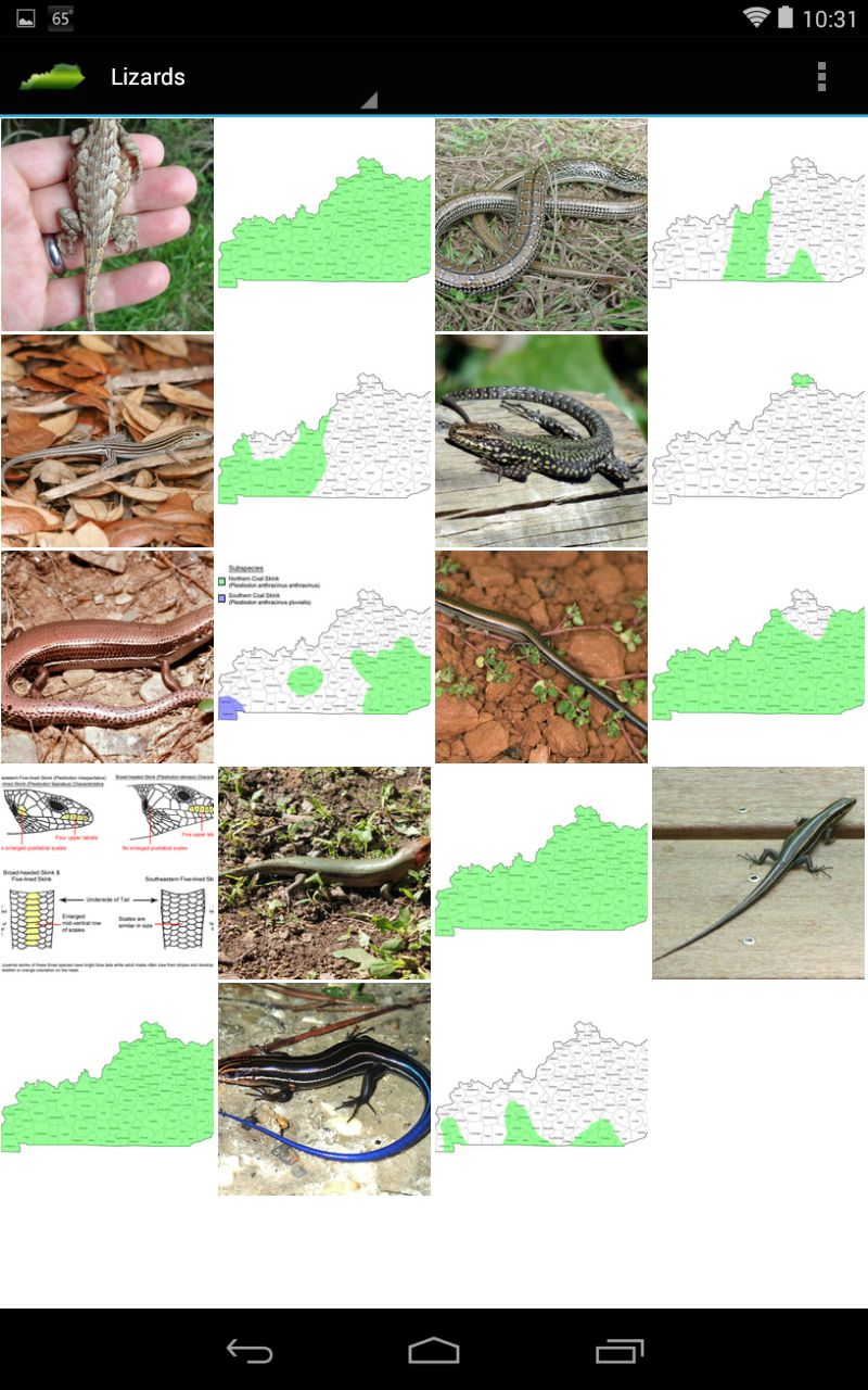 KY Reptile Guide for Android