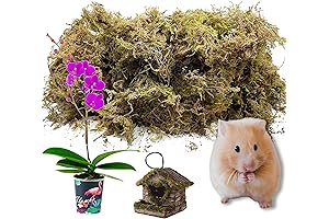 Verde Preserved Moss for Crafts and Decoration: Reinvigorate Your Creative Projects with Nature's Touch