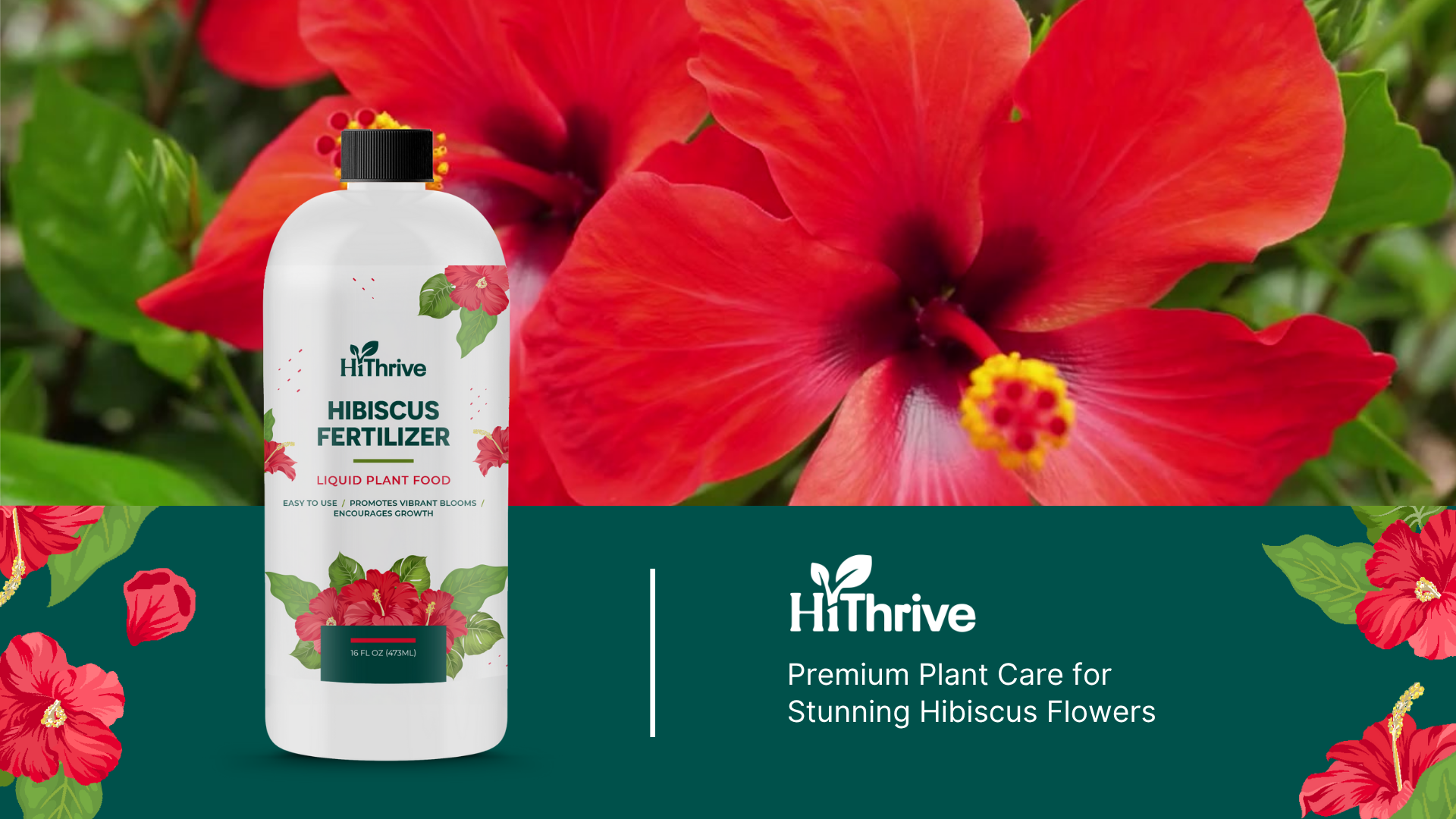 Amazon.com : 16oz Hibiscus Fertilizer - Makes 16 Gallons of Hibiscus  Flowers Plant Food Outdoor - Indoor Plant Fertilizer Liquid for Vibrant,  Showy Flowers, Greener Leaves, Strong Roots, and Lush Growth :