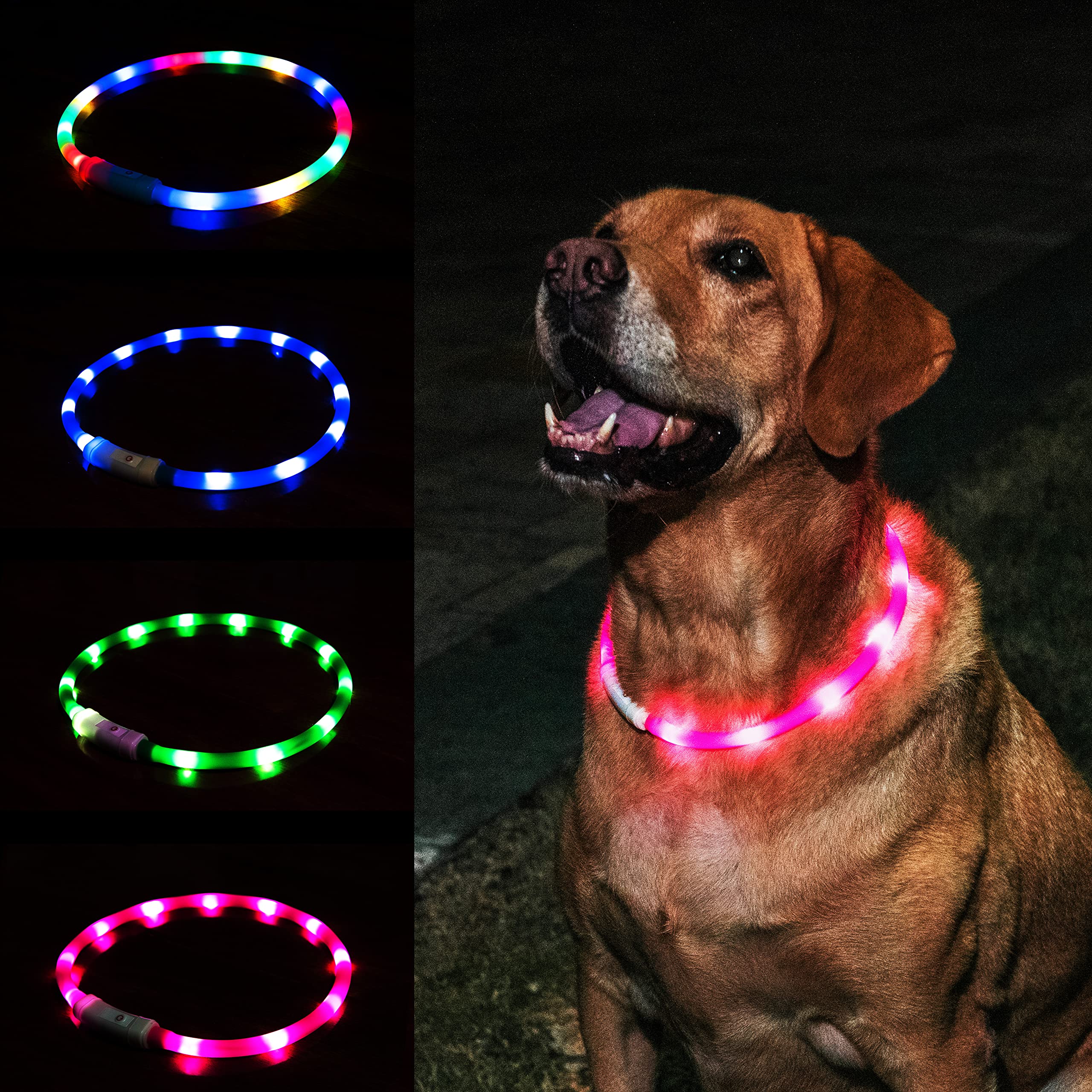 Do You Leave Water For Puppy At Night