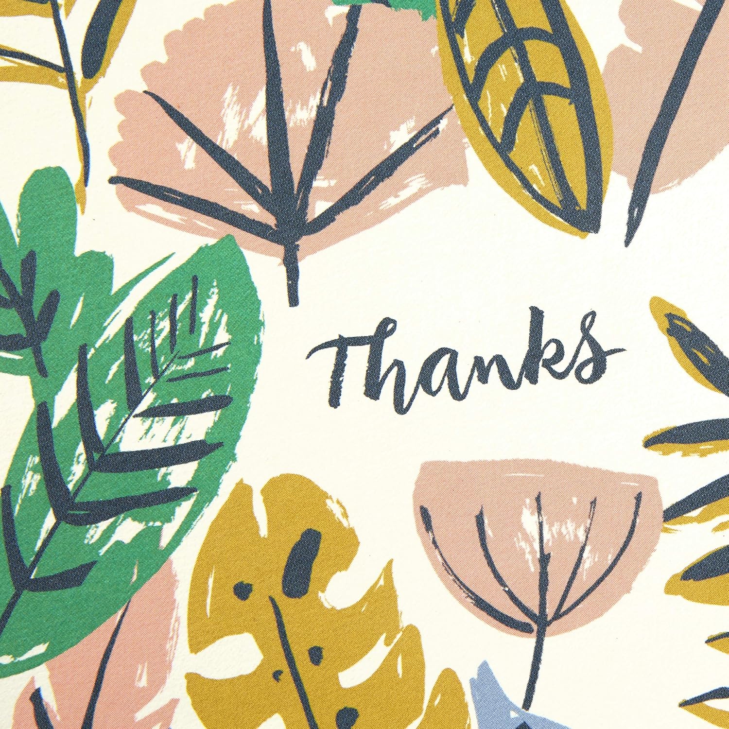 Hallmark Surtido De Tarjetas De Simpatía, Naturaleza (16 Tarjetas Con Sobres
