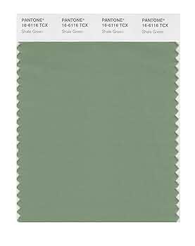 PANTONE Smart 16-6116X Color Swatch Card, Shale Green
