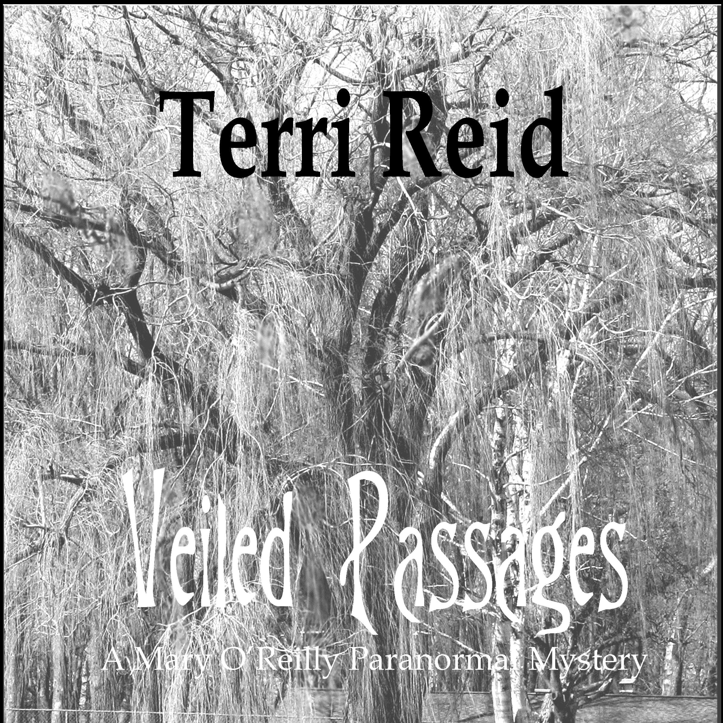 Cover art for Veiled Passages
