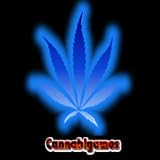 immersion play Brick Breaker xd presented by Michael Ciuman and Cannabigames