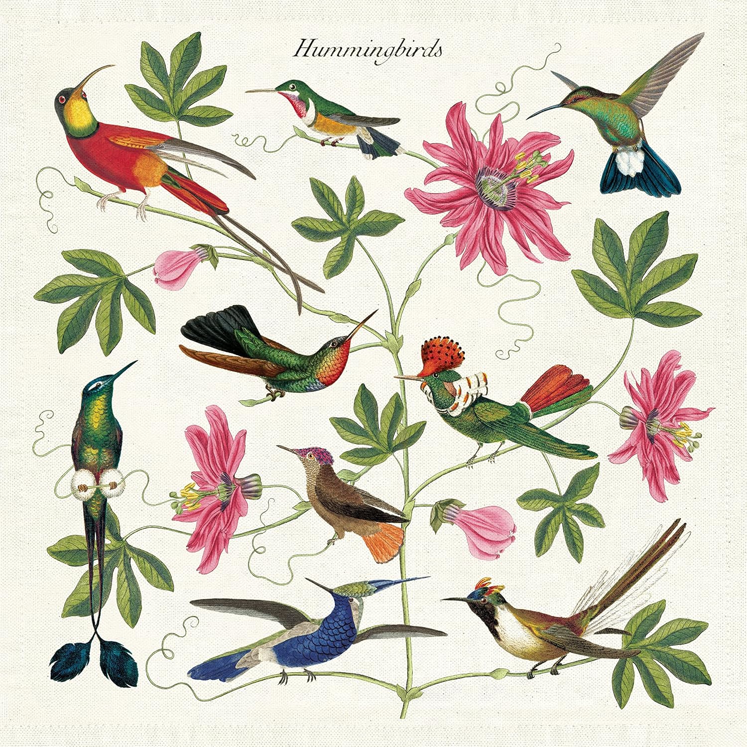 Cavallini & Co. Hummingbirds Vintage Style Cloth Napkins, Set of 4 (NPKN/HUM)