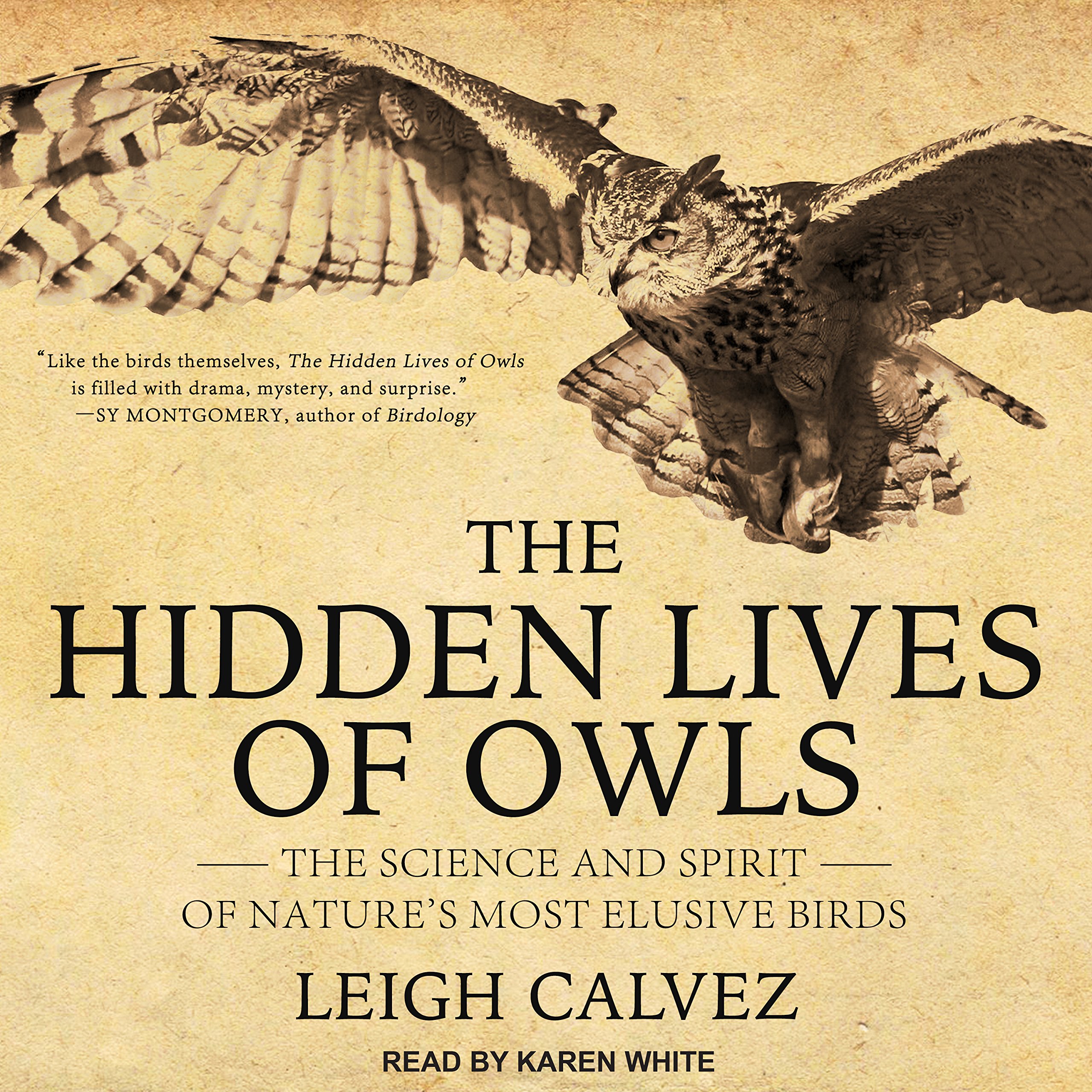 Cover art for The Hidden Lives of Owls
