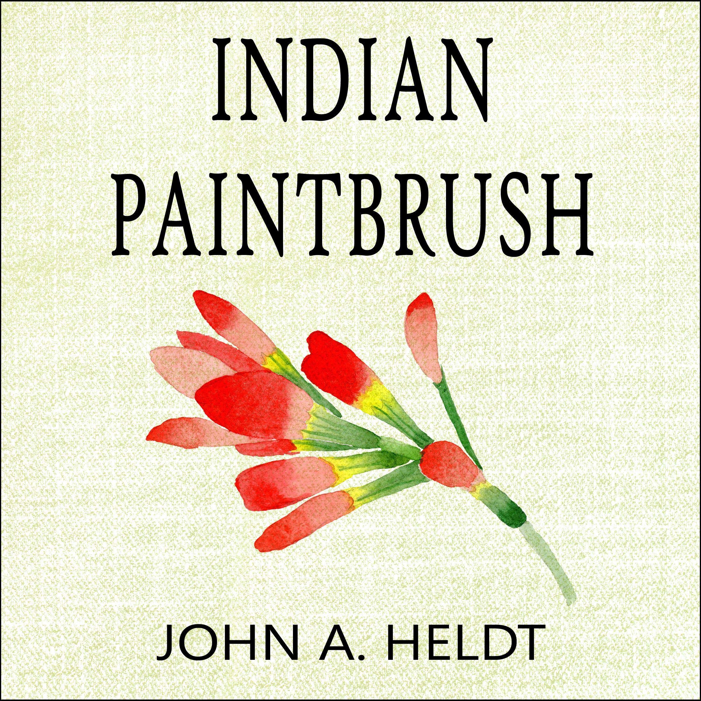 Indian Paintbrush