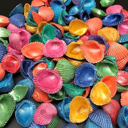 Miniatura 2 de PEPPERLONELY Perla teñida colores surtidos Cardium Tiny Sea Shells, 5 onzas, 34  1-14 pulgadas