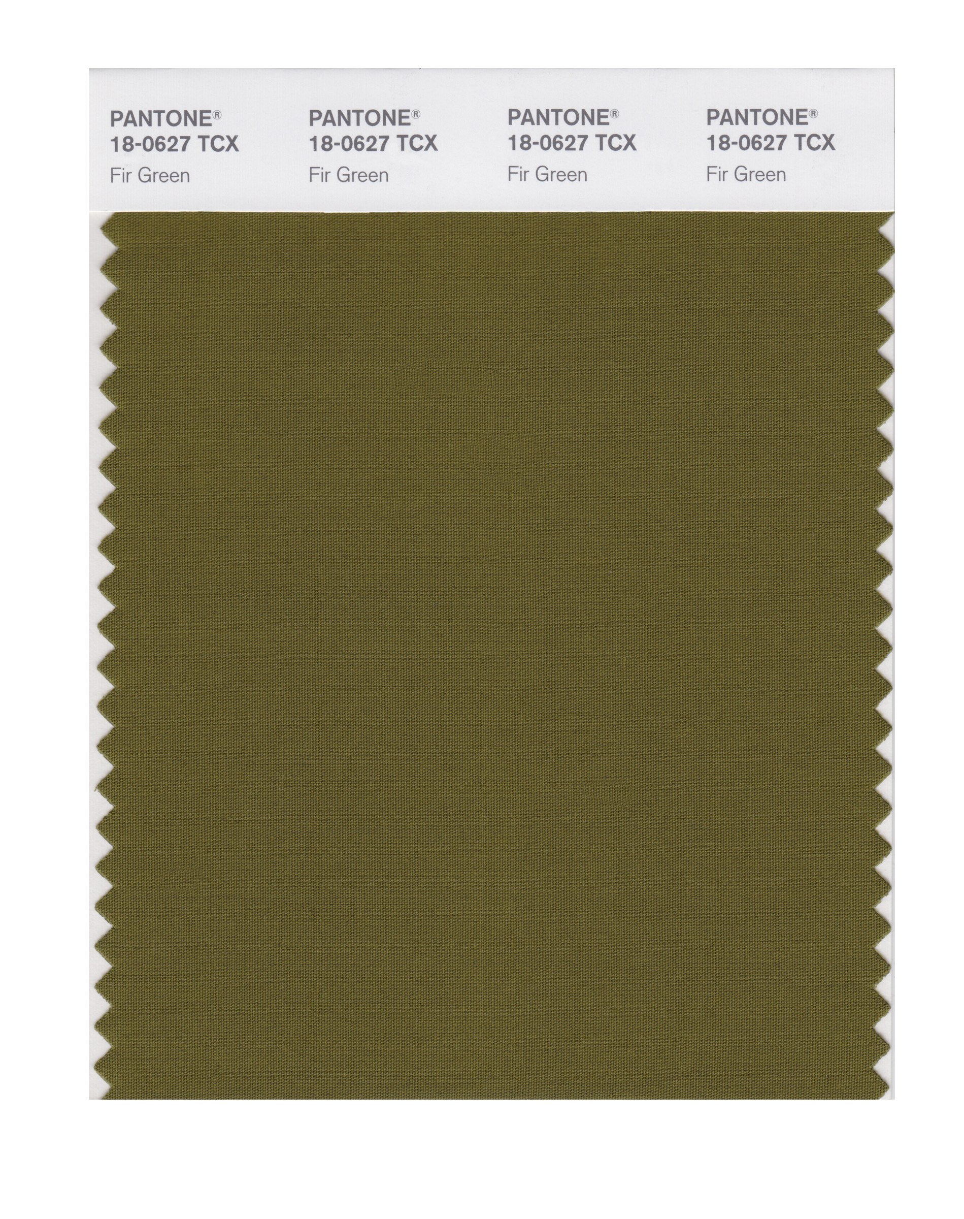 COLOR +   18冊 PANTONE Smart 18-0627X Color Swatch Card, Fir Green - House