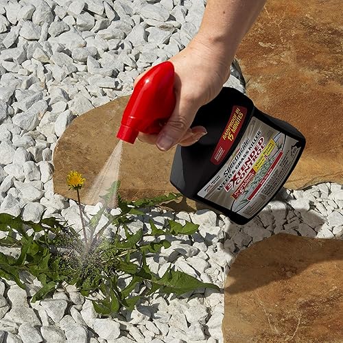 Miniatura 4 de Spectracide Asesino de malezas y hierba con control extendido, 32 onzas, paquete de 12