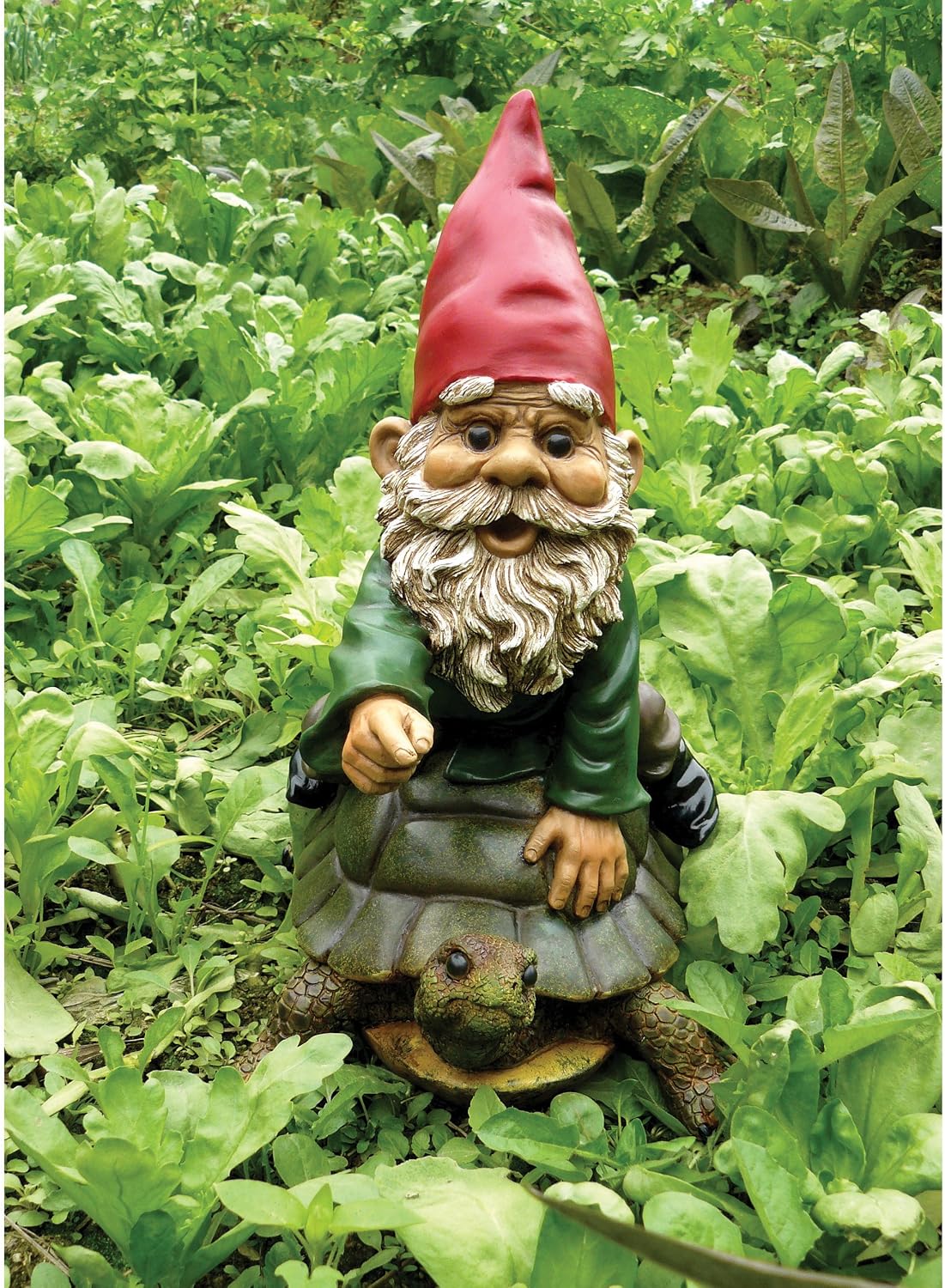 Garrold Gnome on a Turtle by Michael Carr Designs - Outdoor Gnome and Turtle Figurine for gardens, patios and lawns (80036)