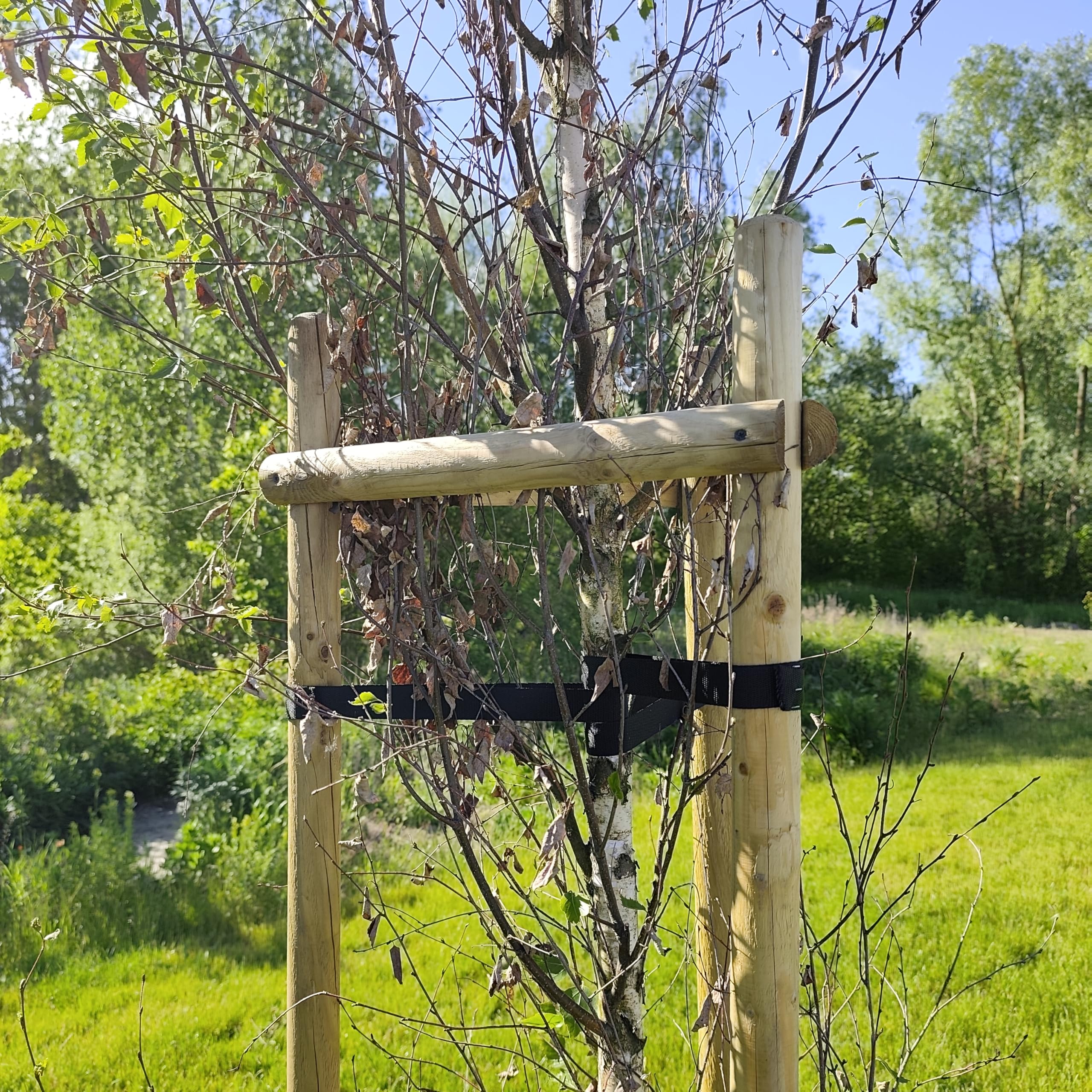 Kit Complet Tuteur Arbre 200 cm ø 6 cm Tuteur Bois avec 3 Piquets 3 Sangles Noires 6 Demi Palissades Support Arbre Fixation Plantes Jardin