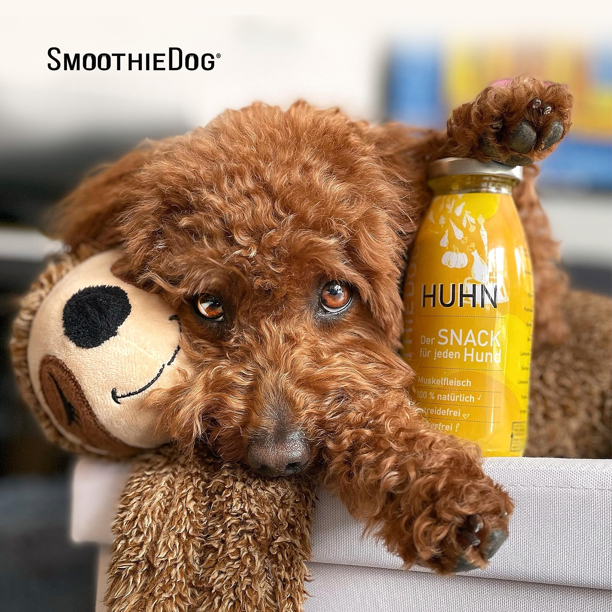 Hunde Smoothie SmoothieDog 12er Mix - je 6X: Huhn, Rind - Flüssiges Hundeleckerli - Zucker- & glutenfrei - je 250ml
