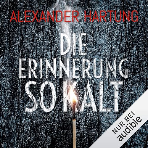 Die Erinnerung so kalt: Jan Tommen 4