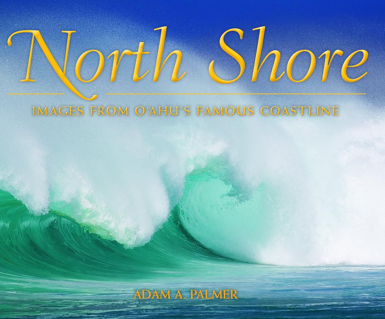 Amazon North Shore Images from Oahu's Famous Coastline Palmer