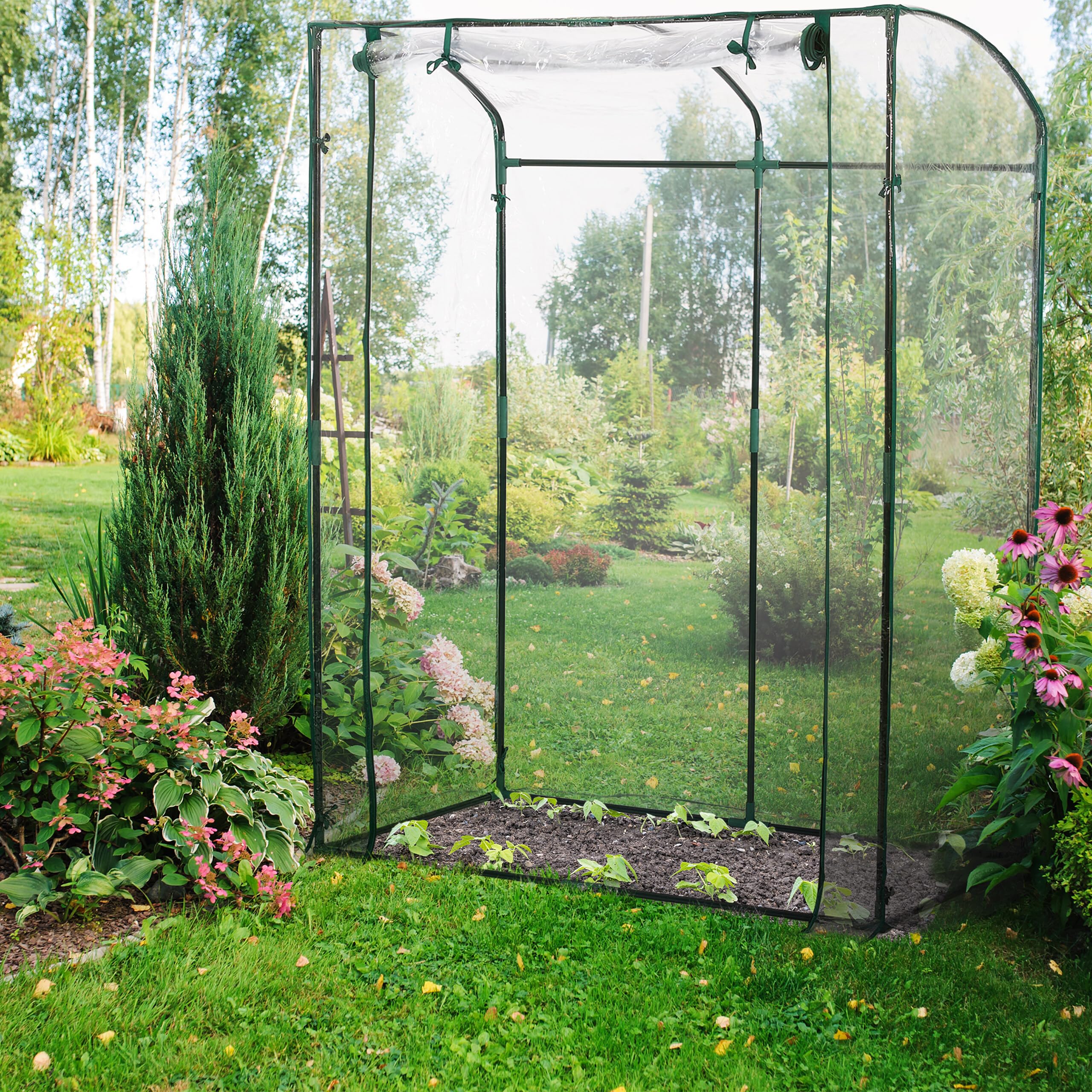 Relaxdays Serra da Orto per Pomodori, Telo in PVC, HLP: 170 x 130 x 75 cm, Copertura Piante Giardino, Trasparente Verde