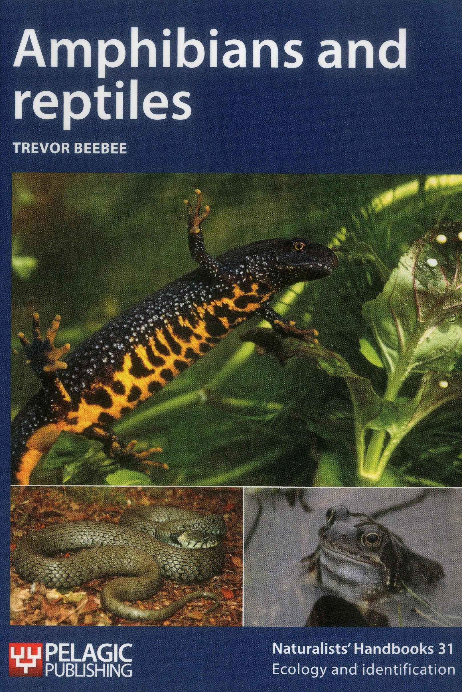 Amphibians and reptiles (Naturalists' Handbook): Vol. 31