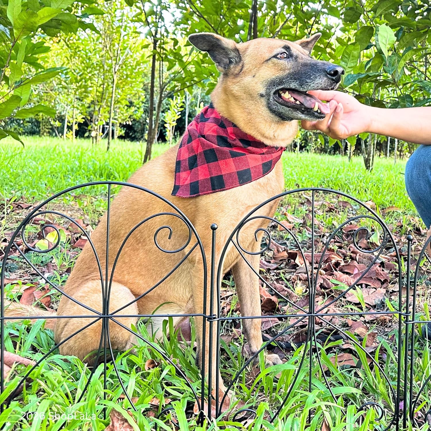 ShopLaLa Decorative Garden Fence (10 Panels) 12.5in(L) x 16.5in(H) Rustproof Black Metal Wire, Animal Barrier Fences for Dogs, Flower Bed Edging Landscape Border Yard Patio Butterfly Outdoor Decor