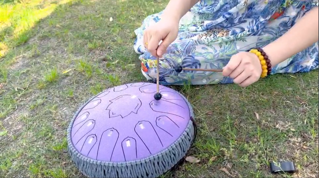 Amazon.com: Steel Tongue Drum 13 Inch 15 Notes,Hand Drums with C