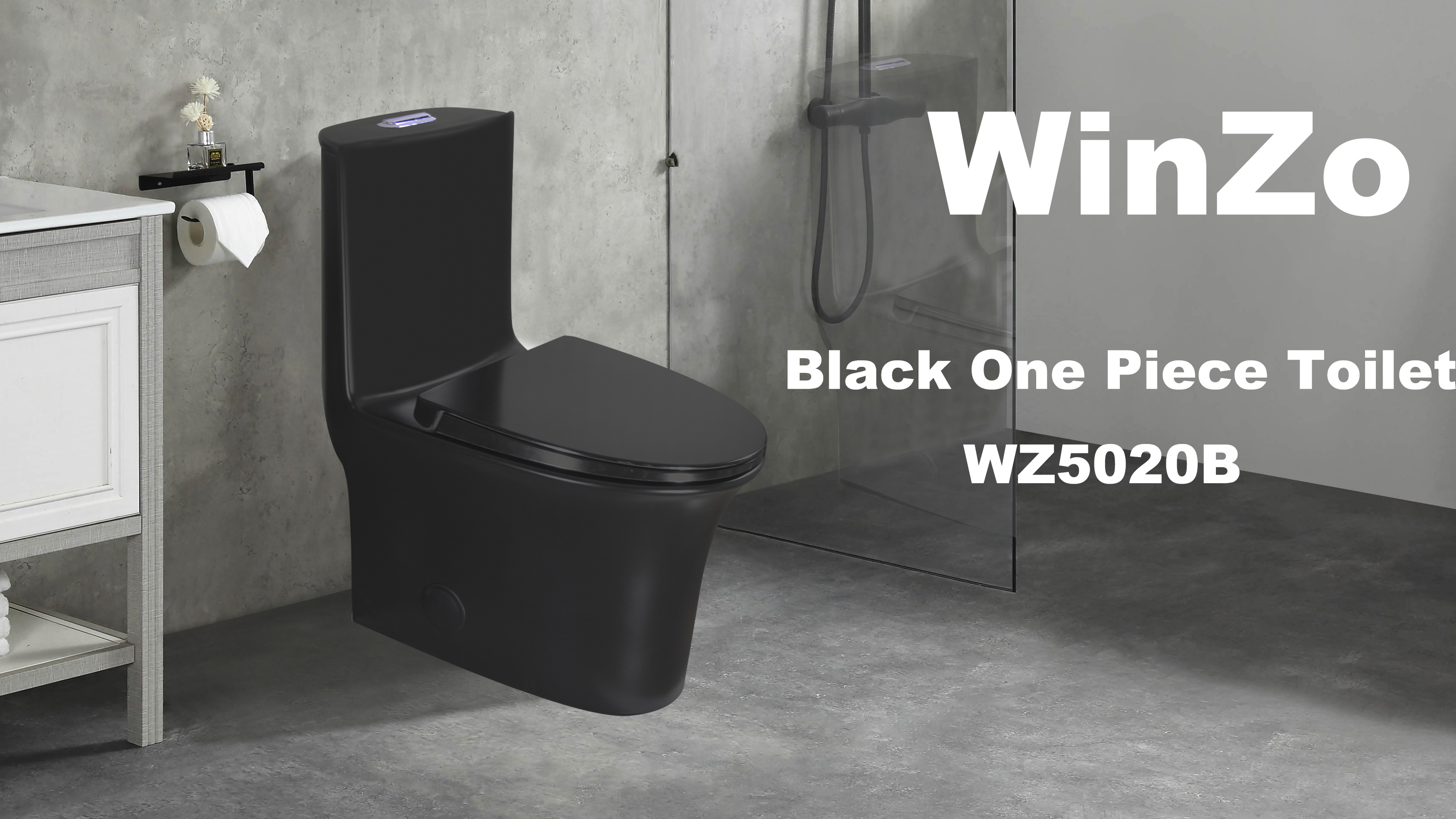 WinZo Elongated One Piece Toilet 3-in Dual Flush Elongated Soft