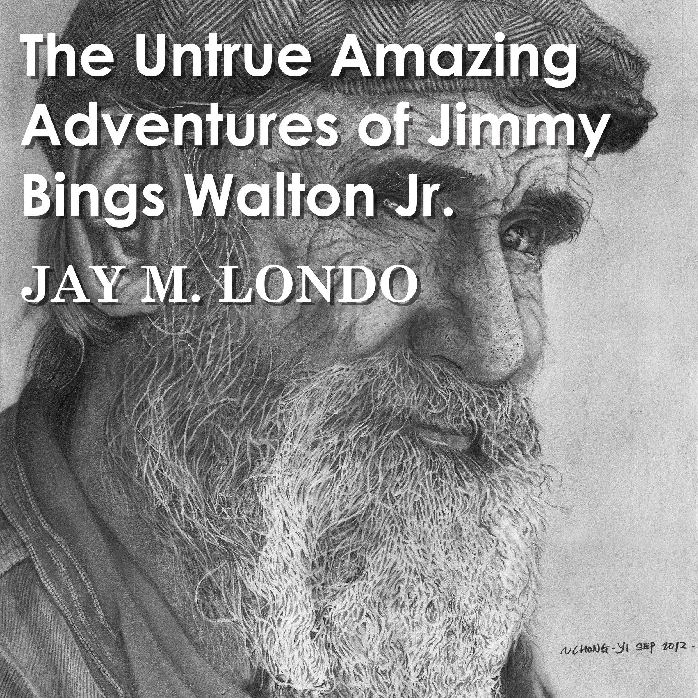The Untrue Amazing Adventures of Jimmy Bings Walton Jr.