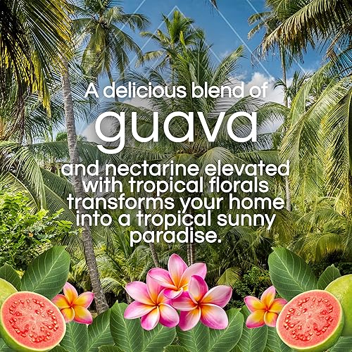 Miniatura 8 de Air Wick Aceite perfumado - Recambio vibrante de hierba dulce y sándalo 5 unidades