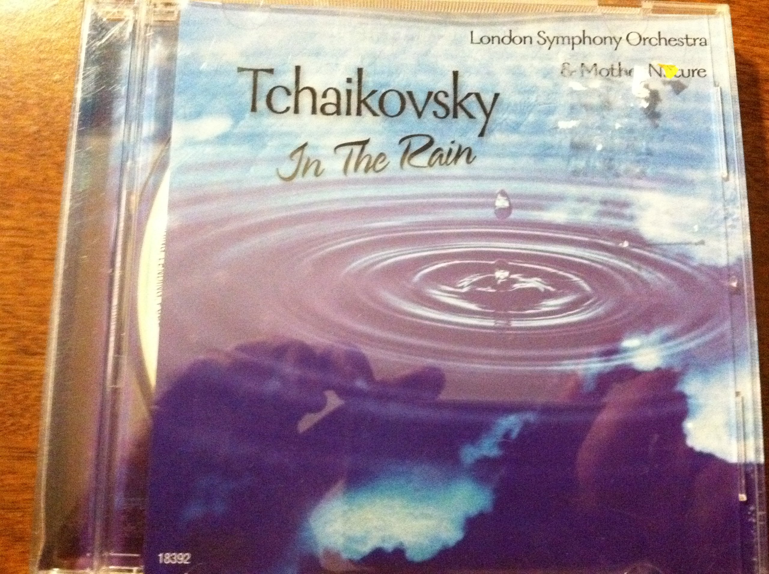 Tchaikovsky in the Rain [Audio CD]
