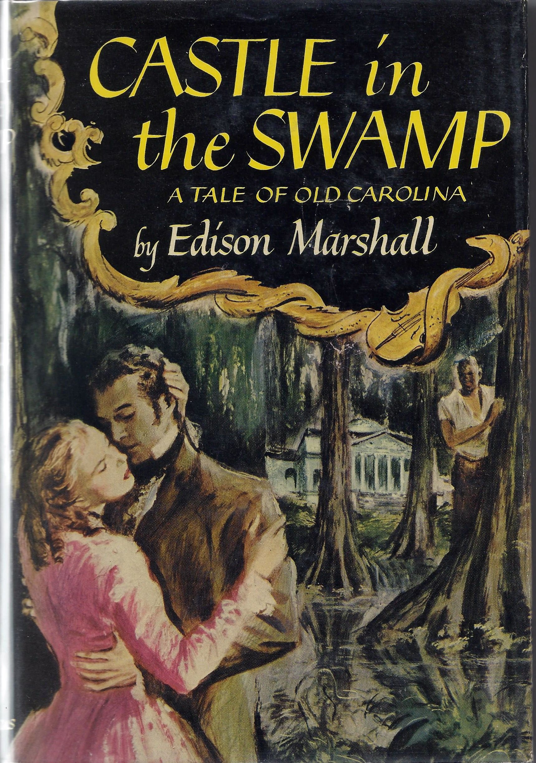 Cover of Castle in the Swamp