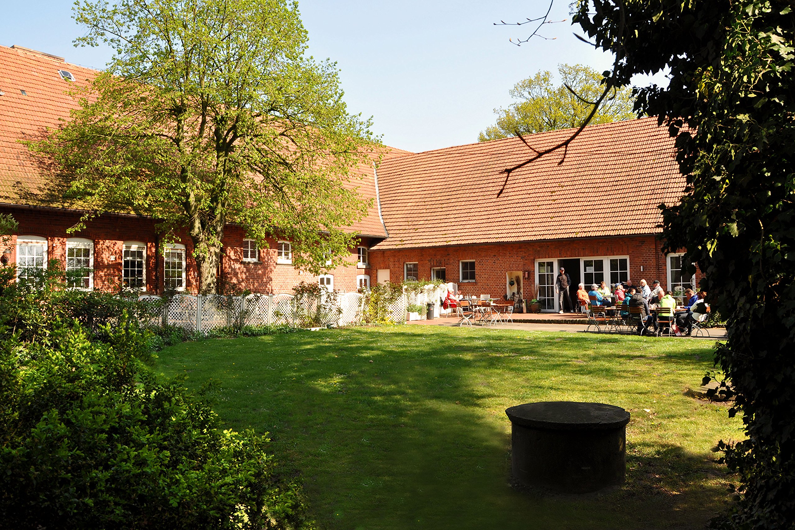 Dinkelmehl Typ 630 (25kg) direkt vom Dinkelhof Horstmann,Ernte Juli 2025