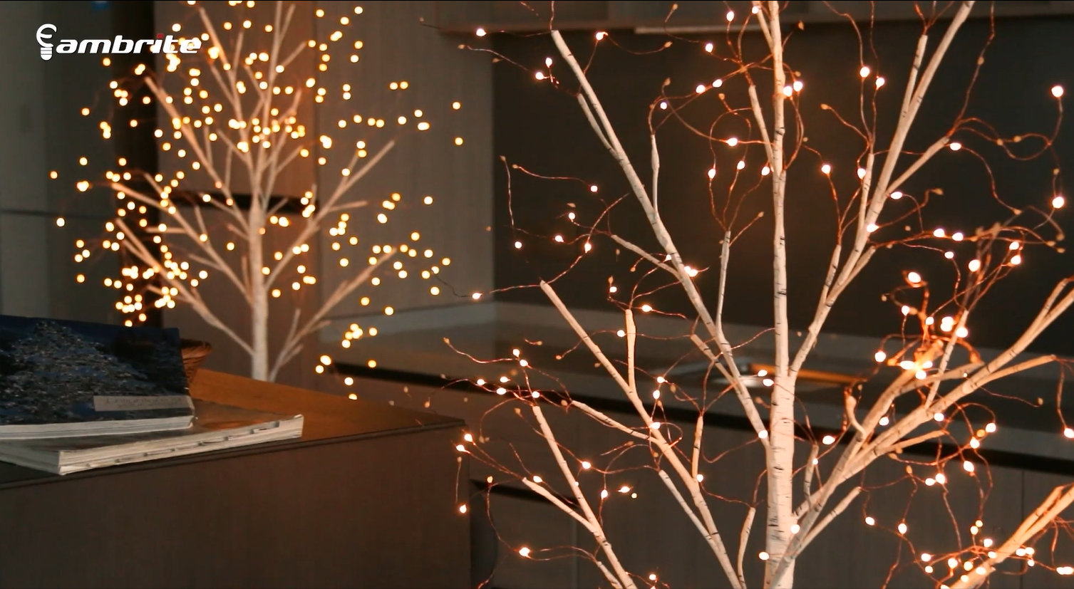 6' Pre-Lit Artificial White Birch Tree With 92 Warm White LED Lights