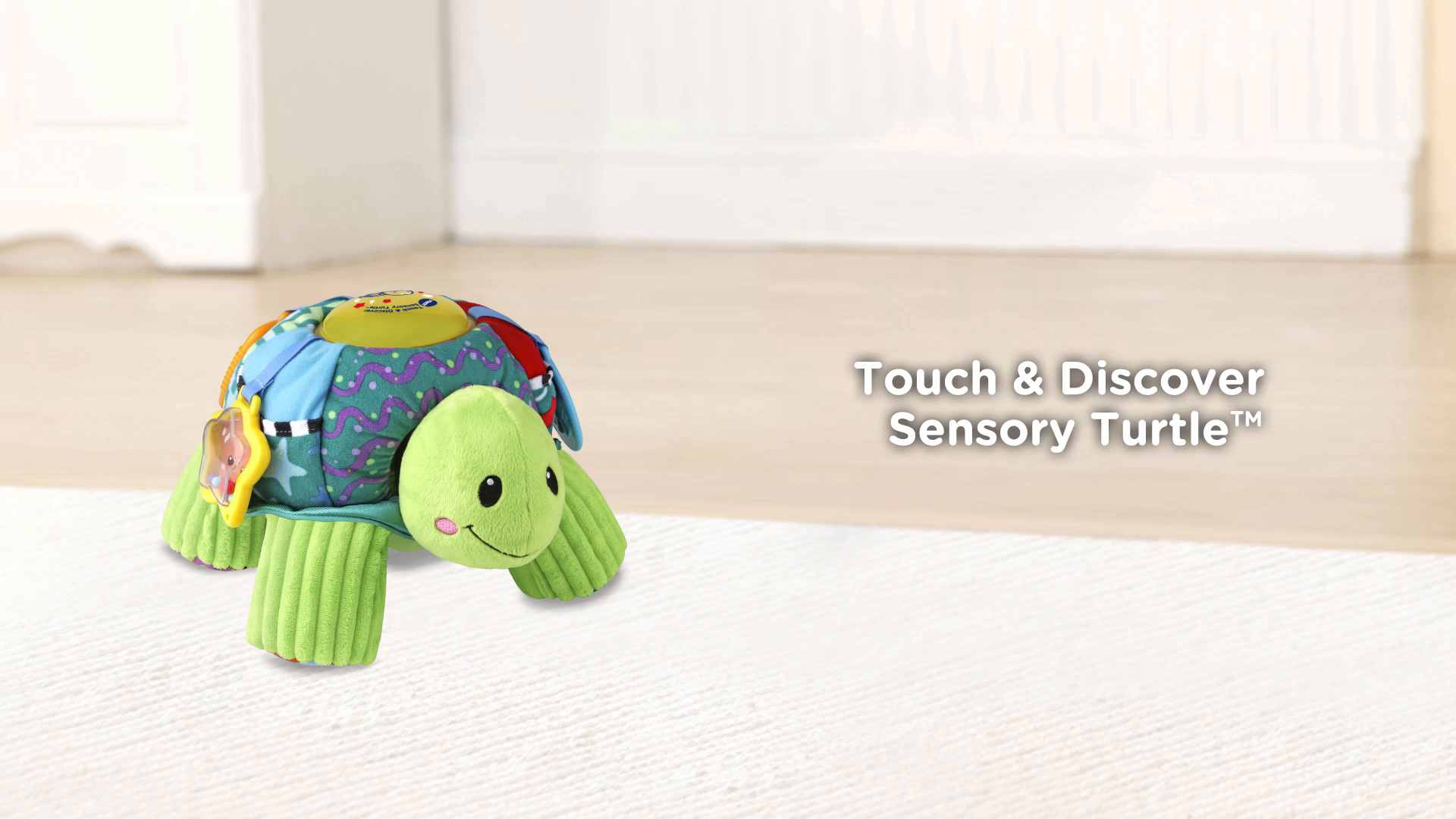 vtech touch and discover sensory turtle