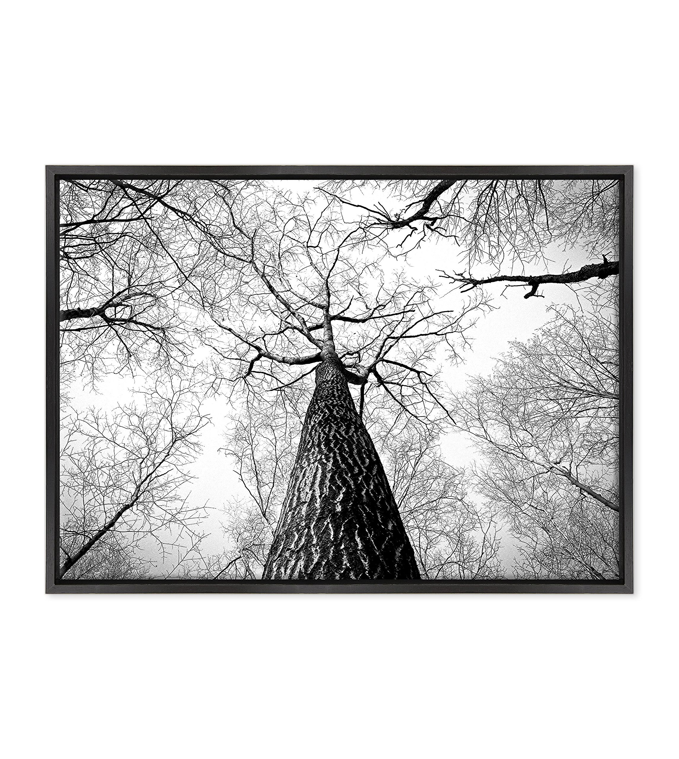 QUADRO SU TELA CANVAS INTELAIATO - CON CORNICE - Alberi Foresta Bianco e Nero - Paesaggio Natura Panorama - 50x70cm - Stile Moderno Nero - (cod.4356)