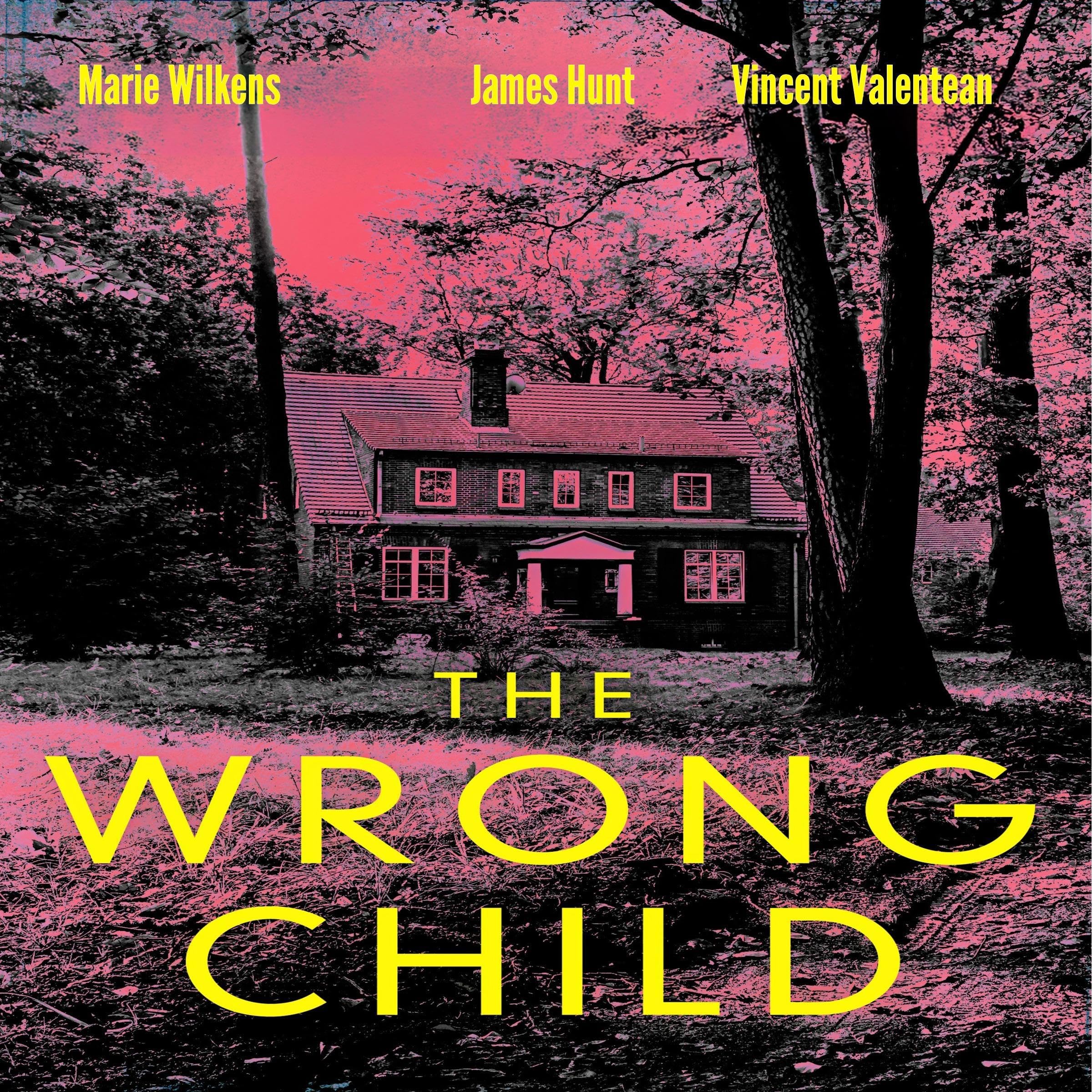 The Wrong Child: Small Town Kidnapping Mystery Boxset